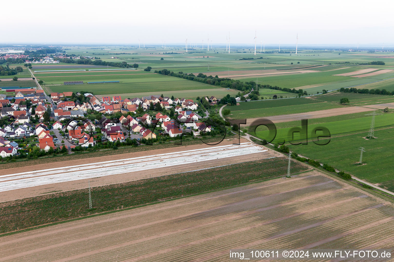 Vue aérienne de Quartier Mörlheim in Landau in der Pfalz dans le département Rhénanie-Palatinat, Allemagne