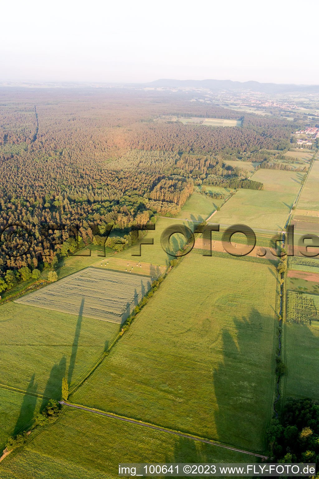 Vue aérienne de Freckenfeld dans le département Rhénanie-Palatinat, Allemagne