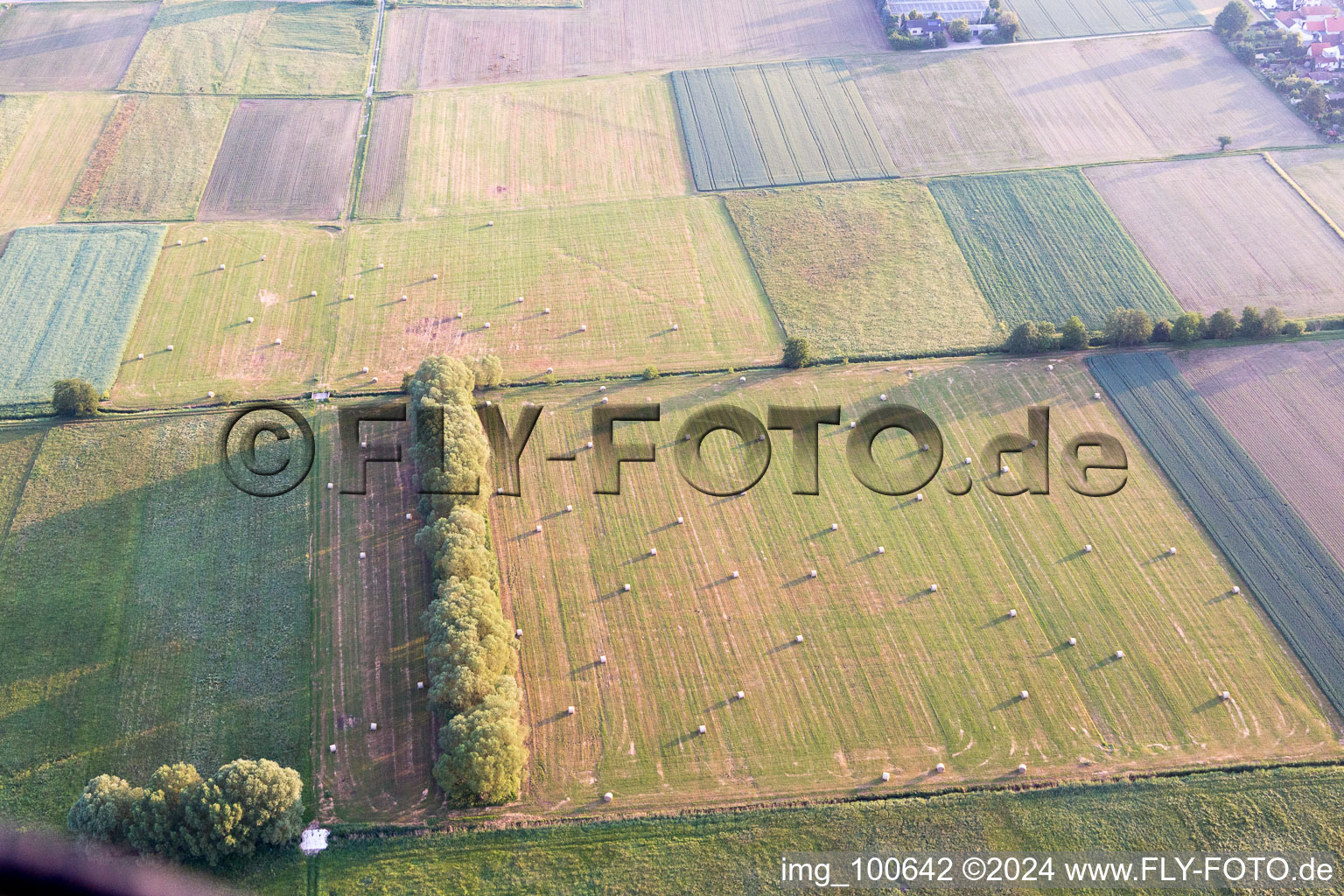 Photographie aérienne de Freckenfeld dans le département Rhénanie-Palatinat, Allemagne