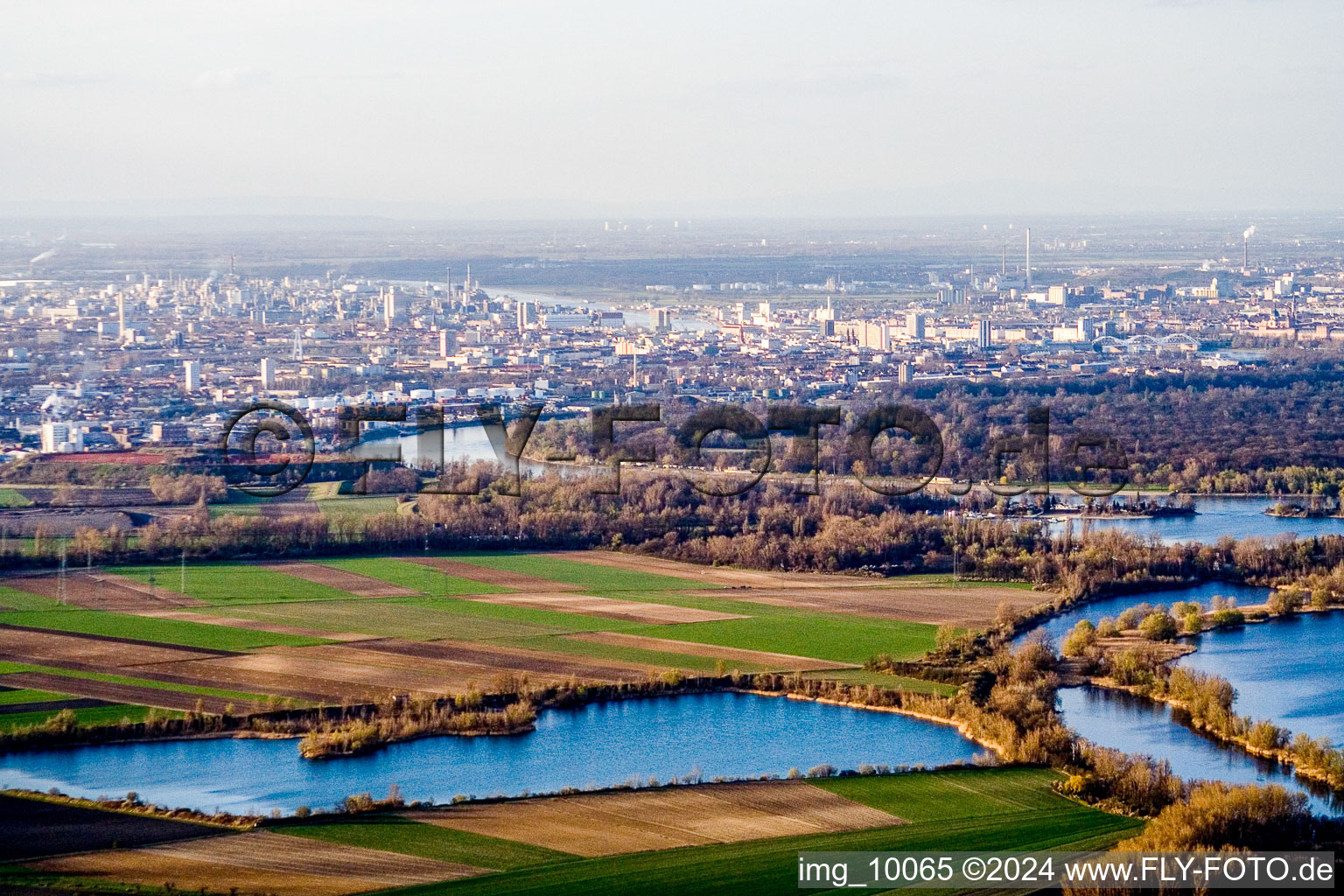 Vue aérienne de Vue sur la ville au bord du Rhin à le quartier Rheingönheim in Ludwigshafen am Rhein dans le département Rhénanie-Palatinat, Allemagne