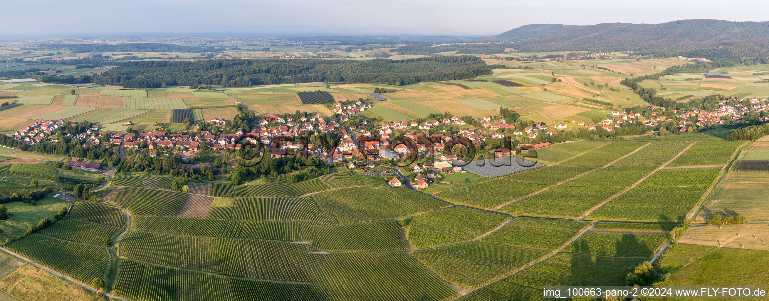 Steinseltz dans le département Bas Rhin, France du point de vue du drone