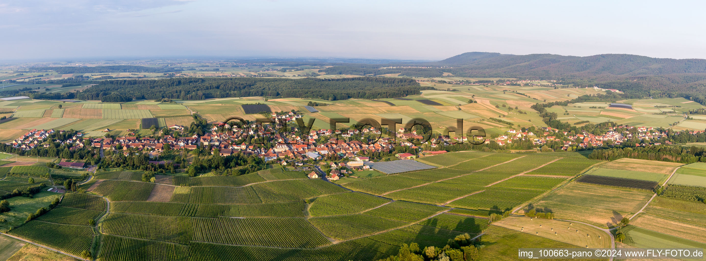 Vue aérienne de Champs agricoles et terres agricoles en perspective panoramique à Steinseltz dans le département Bas Rhin, France