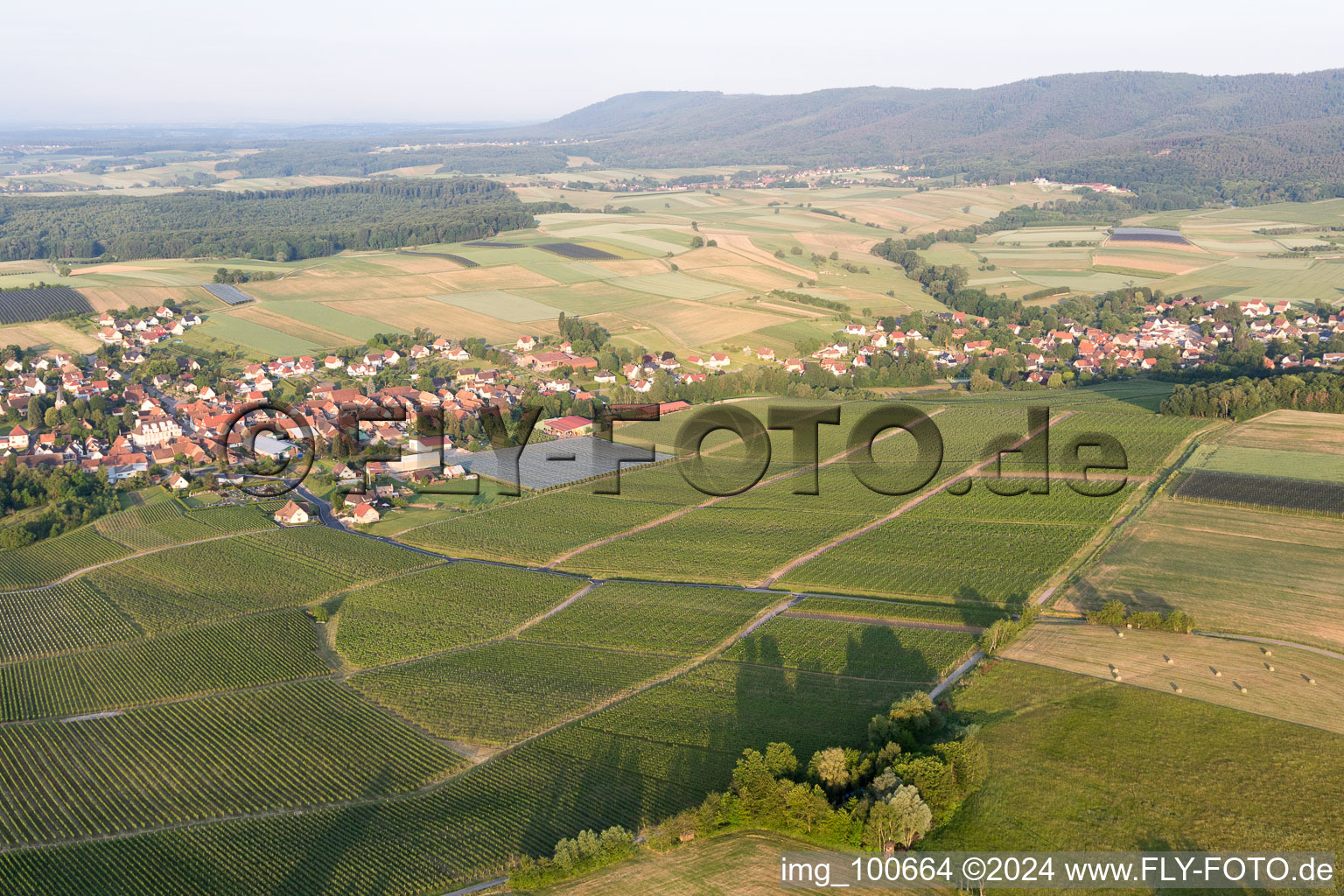 Steinseltz dans le département Bas Rhin, France vu d'un drone