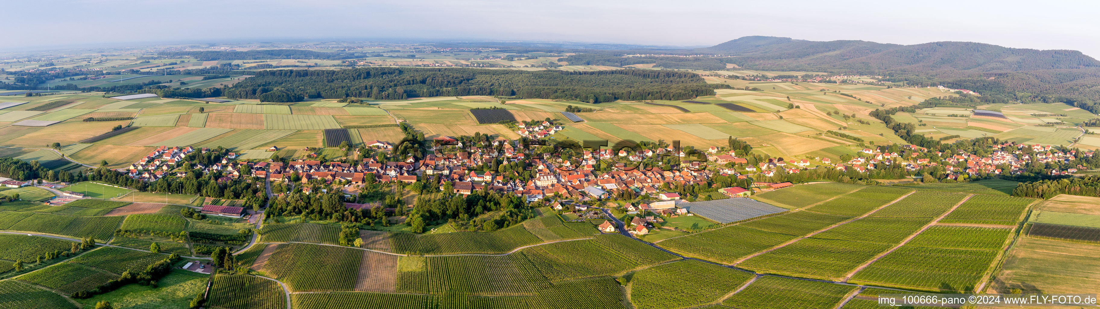 Vue aérienne de Panorama à Steinseltz dans le département Bas Rhin, France