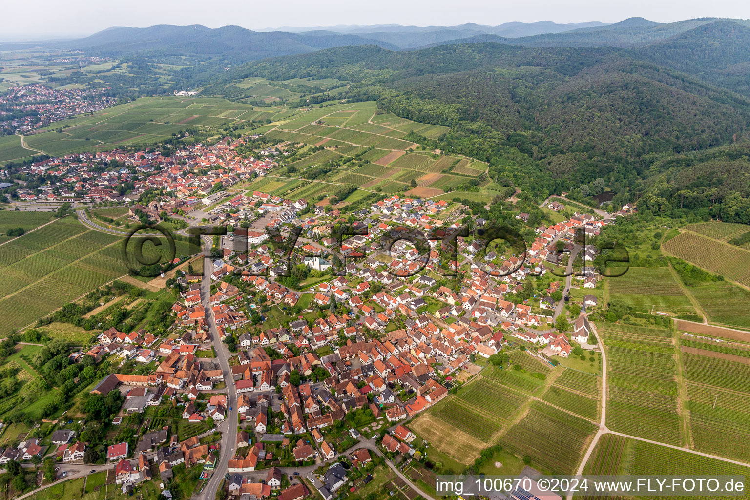 Vue aérienne de Vignobles et forêt en Rechtenbach à le quartier Rechtenbach in Schweigen-Rechtenbach dans le département Rhénanie-Palatinat, Allemagne