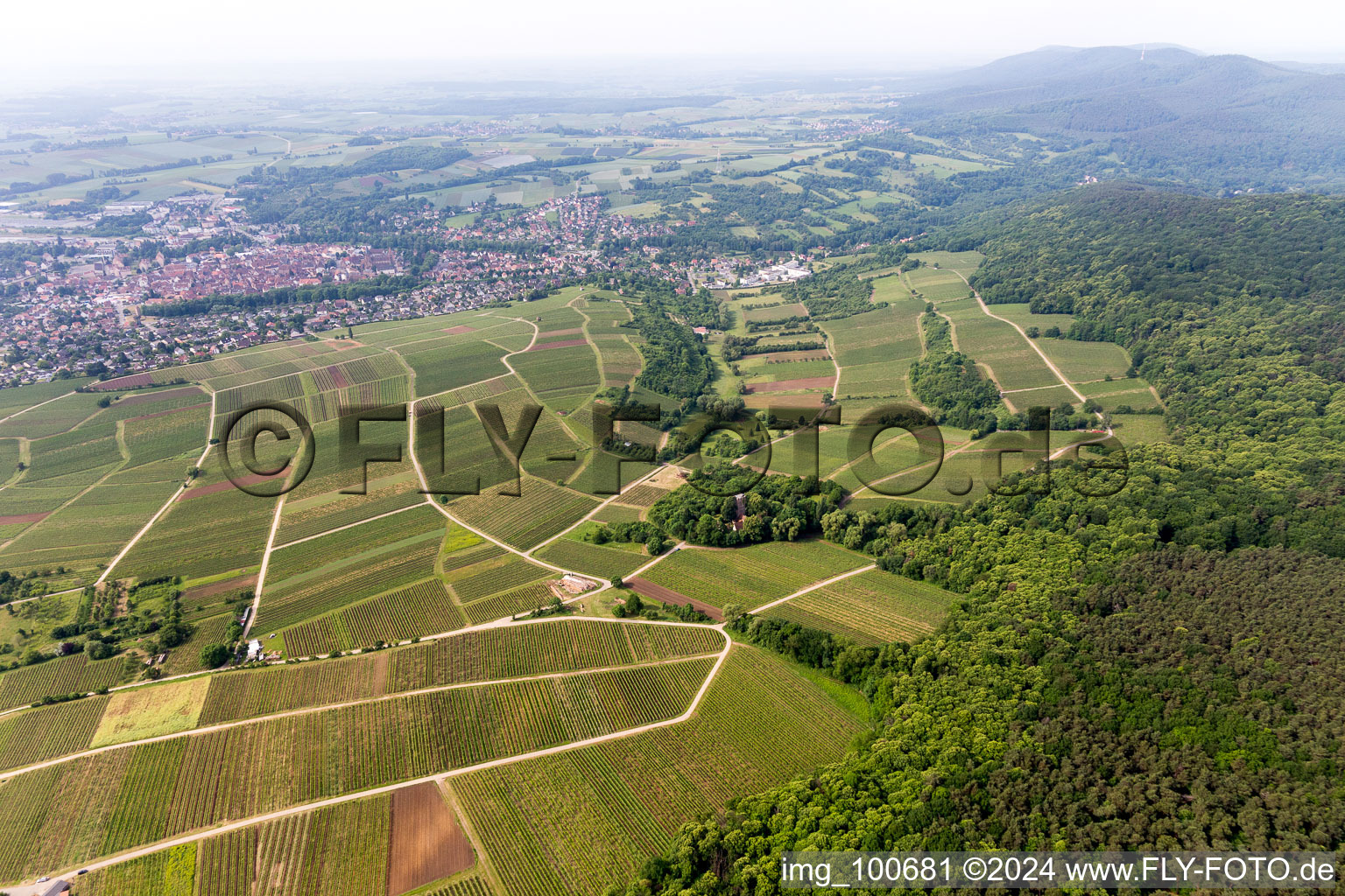 Quartier Schweigen in Schweigen-Rechtenbach dans le département Rhénanie-Palatinat, Allemagne vue du ciel