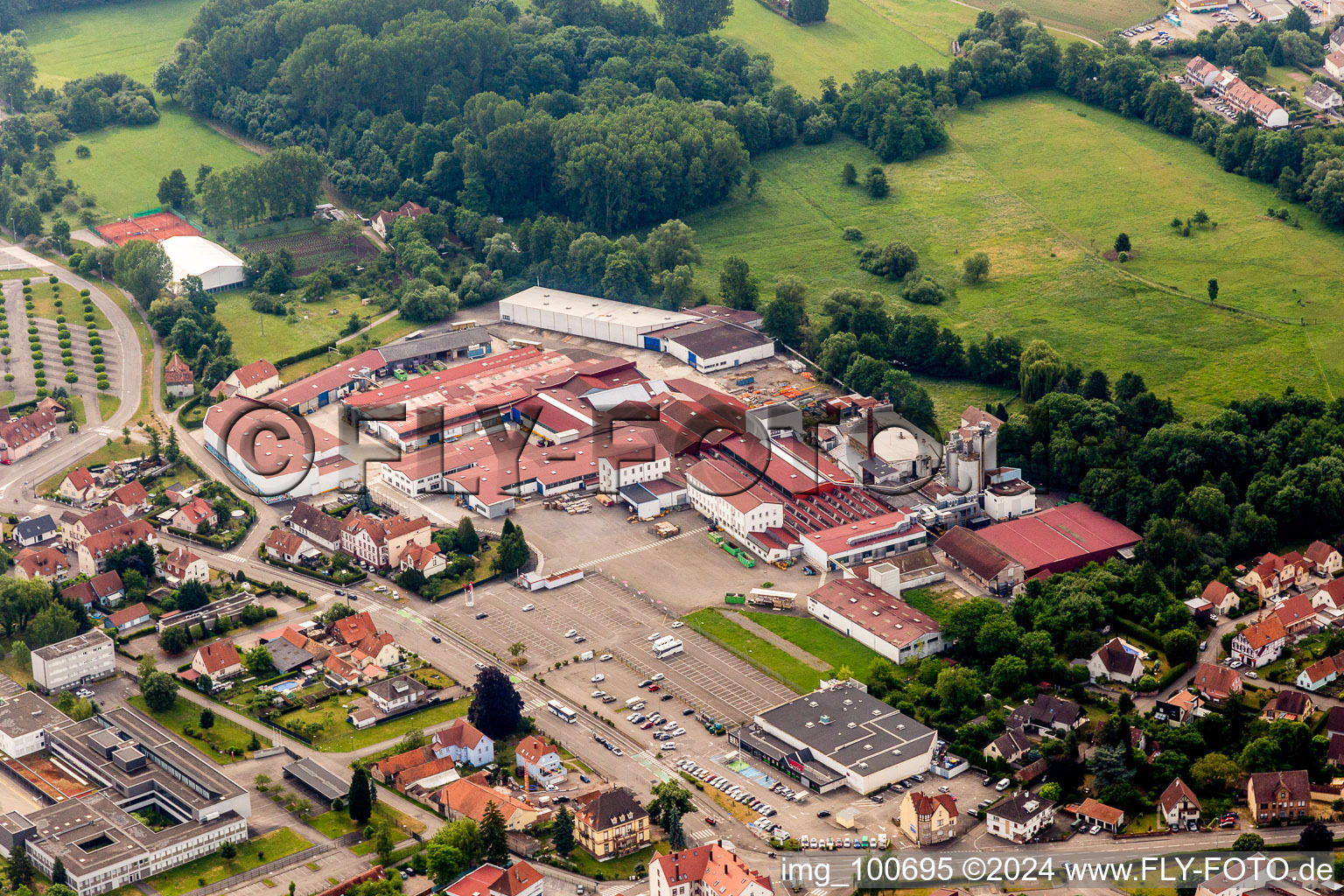 Vue aérienne de Locaux d'usine du constructeur de camping-cars Burstner SA à Wissembourg dans le département Bas Rhin, France