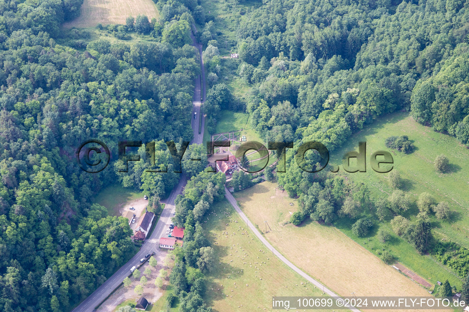 Vue aérienne de Sankt Germannshof dans le département Rhénanie-Palatinat, Allemagne