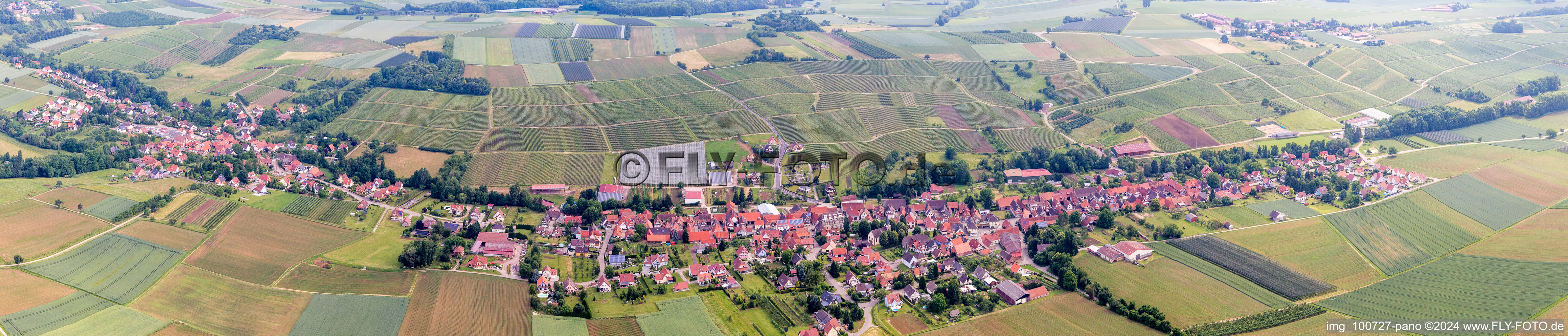 Vue aérienne de Champs agricoles et terres agricoles en perspective panoramique à Steinseltz dans le département Bas Rhin, France