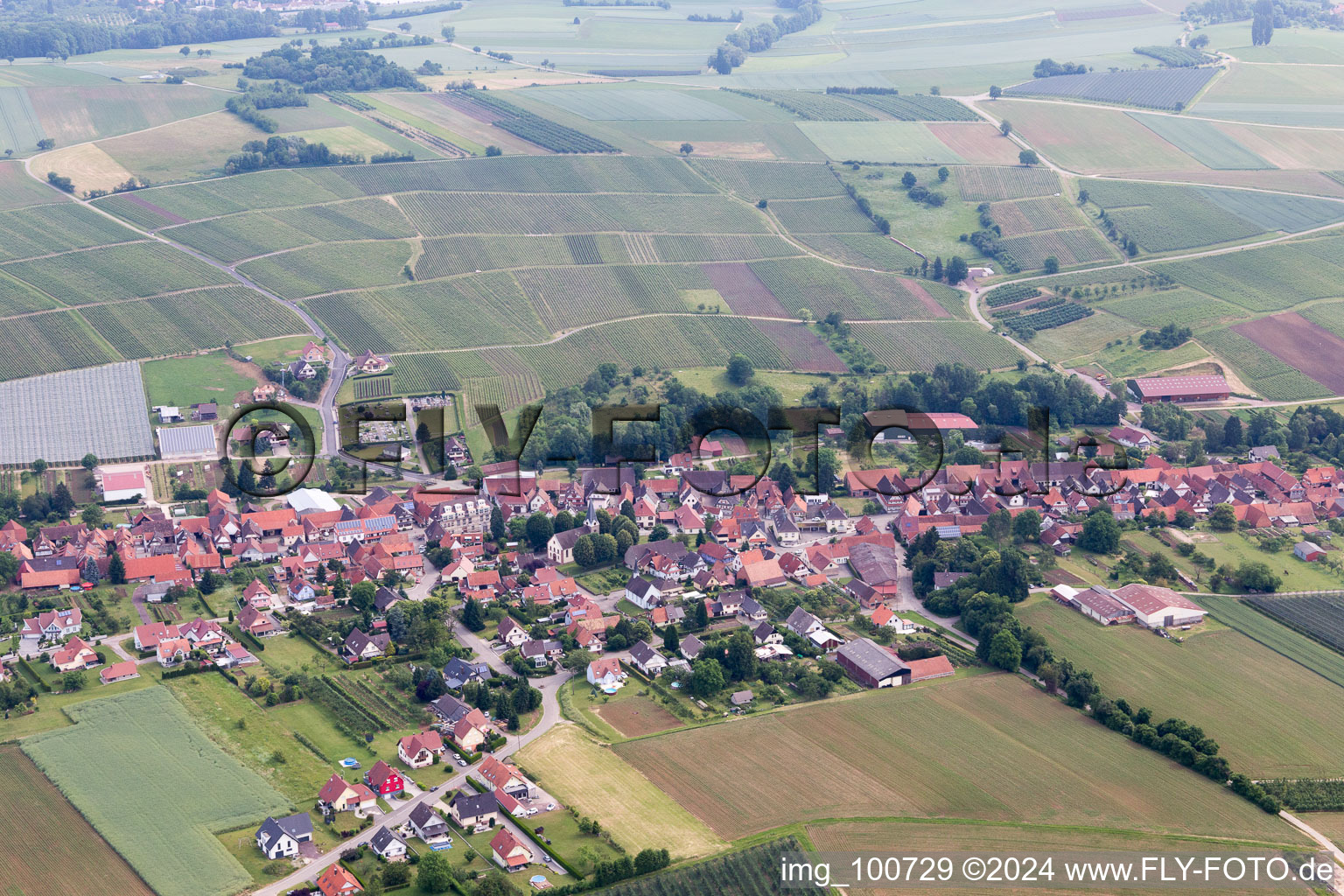 Steinseltz dans le département Bas Rhin, France d'en haut