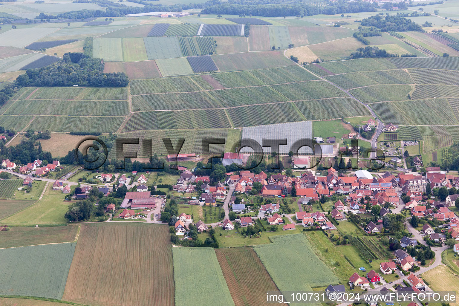 Steinseltz dans le département Bas Rhin, France vue d'en haut