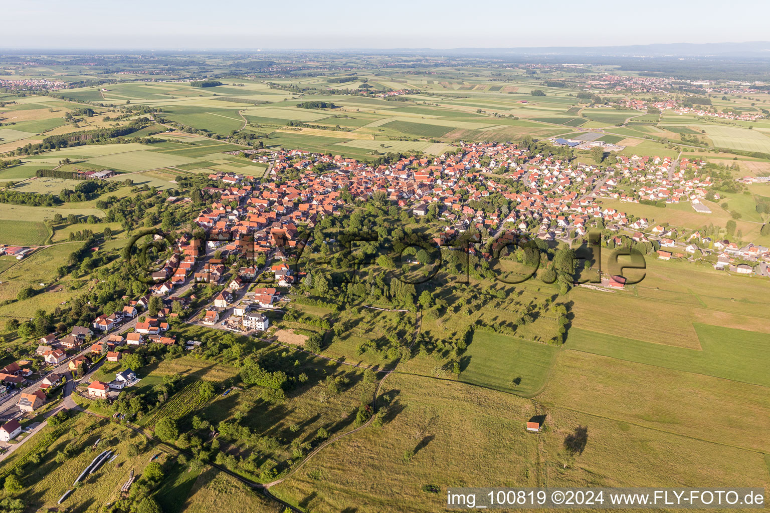 Vue aérienne de Champs agricoles et surfaces utilisables à Surbourg dans le département Bas Rhin, France