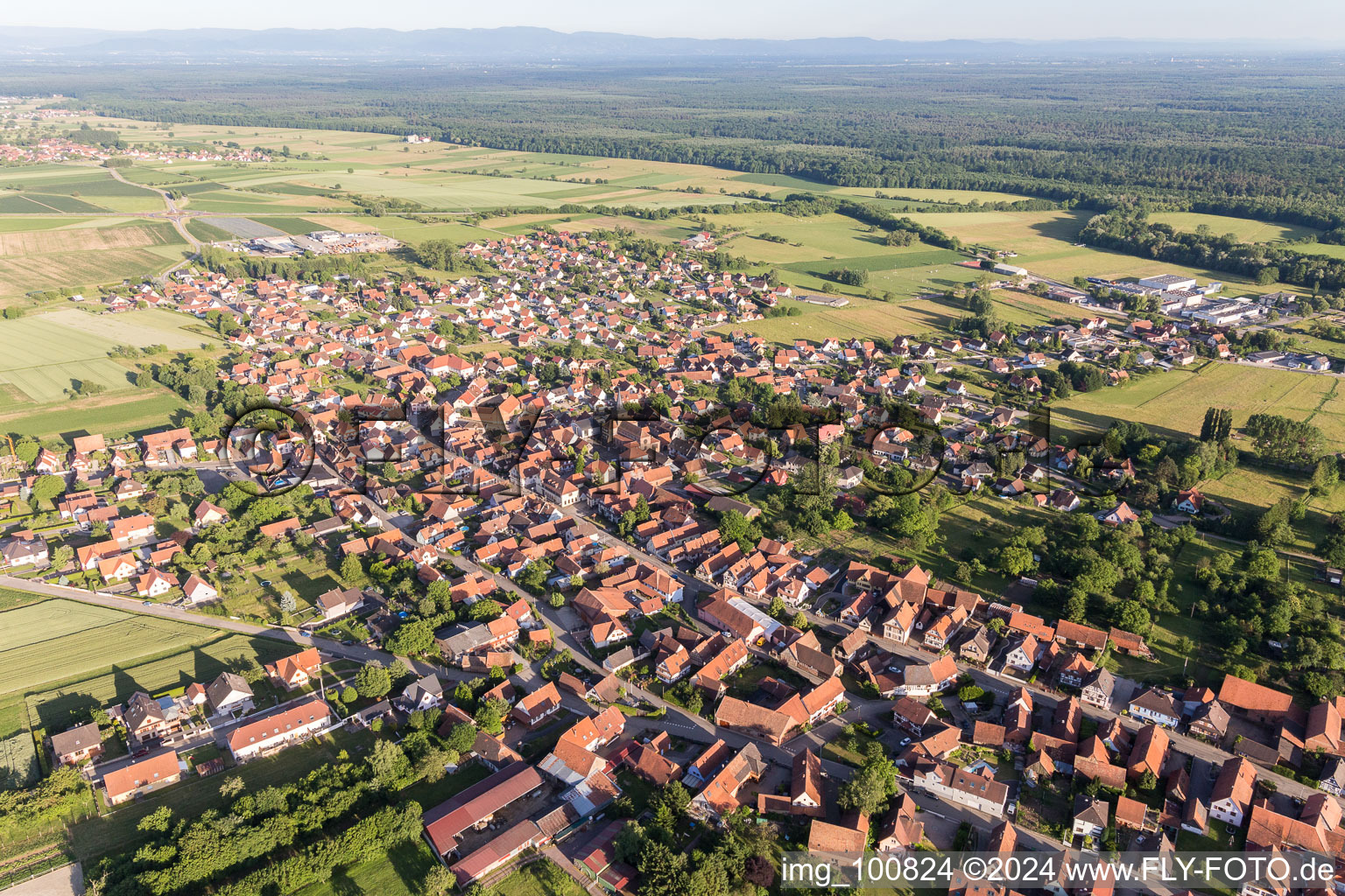 Vue aérienne de Champs agricoles et surfaces utilisables à Surbourg dans le département Bas Rhin, France