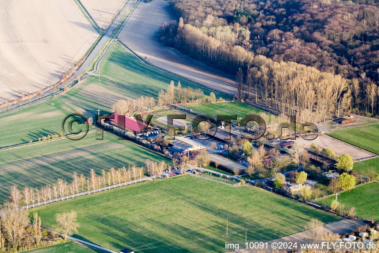 Vue aérienne de Altrip dans le département Rhénanie-Palatinat, Allemagne