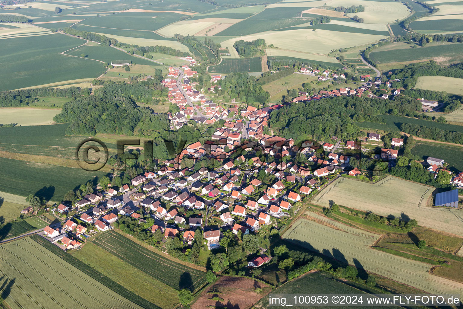 Neewiller-près-Lauterbourg dans le département Bas Rhin, France vue du ciel