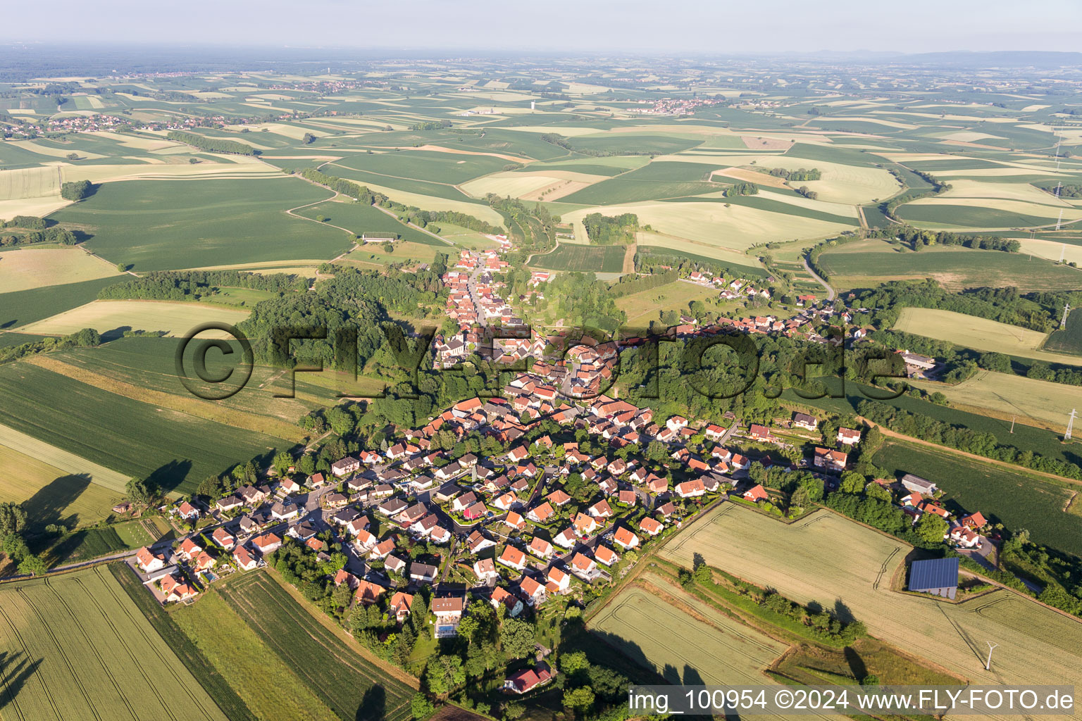 Vue aérienne de Néewiller-près-Lauterbourg à Neewiller-près-Lauterbourg dans le département Bas Rhin, France