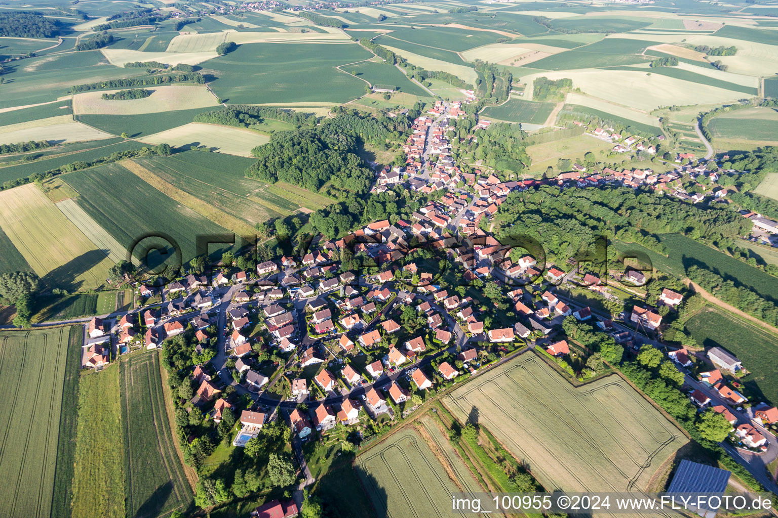 Vue aérienne de Néewiller-près-Lauterbourg à Neewiller-près-Lauterbourg dans le département Bas Rhin, France