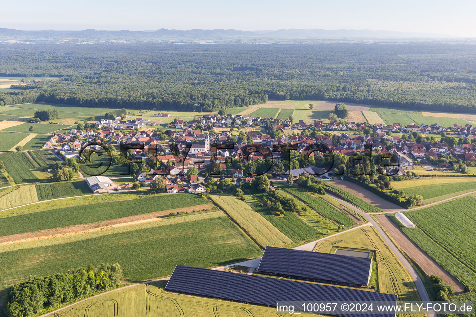 Vue aérienne de Rangées de panneaux du système photovoltaïque sur le toit des granges agricoles à Niederlauterbach dans le département Bas Rhin, France