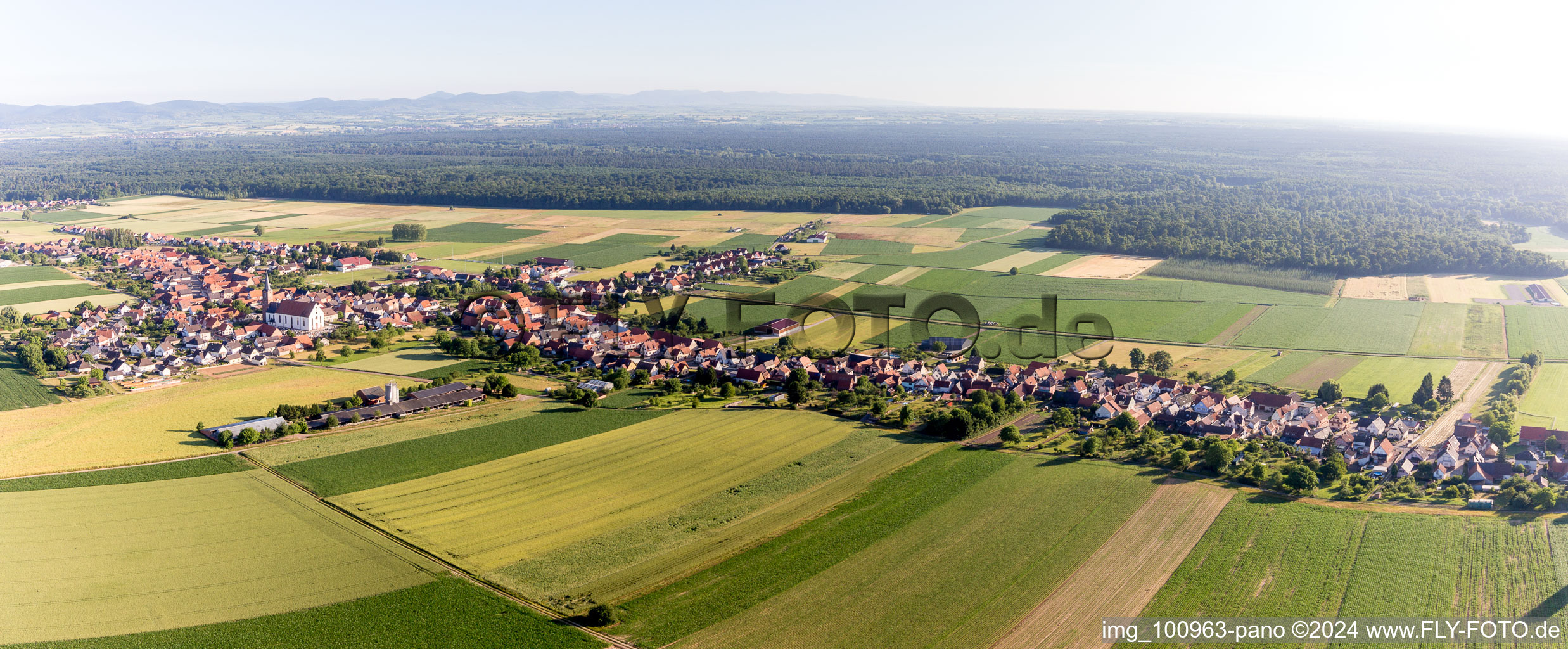 Vue aérienne de Perspective panoramique du plus long village d'Alsace à Schleithal dans le département Bas Rhin, France