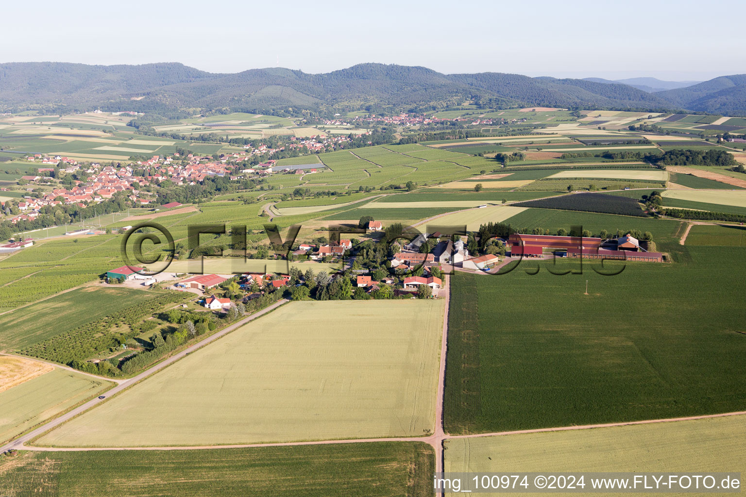 Riedseltz dans le département Bas Rhin, France vu d'un drone