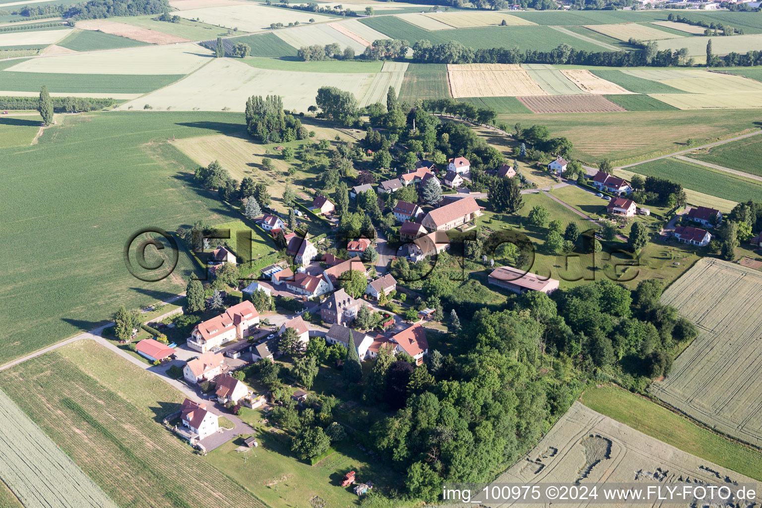 Vue oblique de Steinseltz dans le département Bas Rhin, France