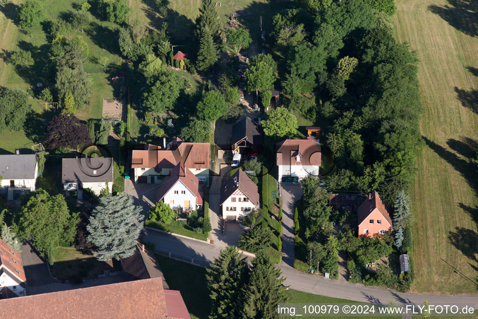 Quartier Altenstadt in Wissembourg dans le département Bas Rhin, France d'en haut