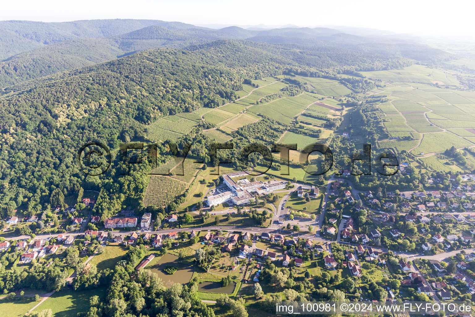 Wissembourg dans le département Bas Rhin, France depuis l'avion