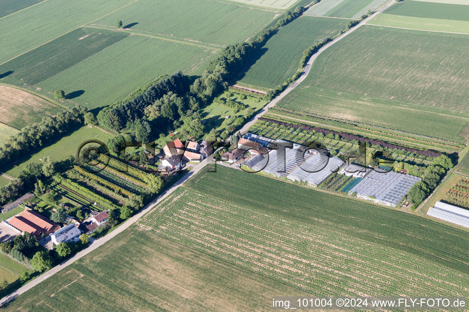 Vollmersweiler dans le département Rhénanie-Palatinat, Allemagne vue d'en haut