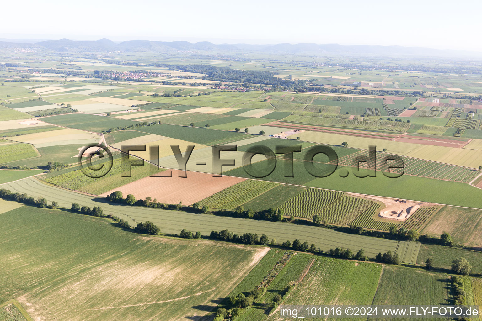 Vue oblique de Freckenfeld dans le département Rhénanie-Palatinat, Allemagne