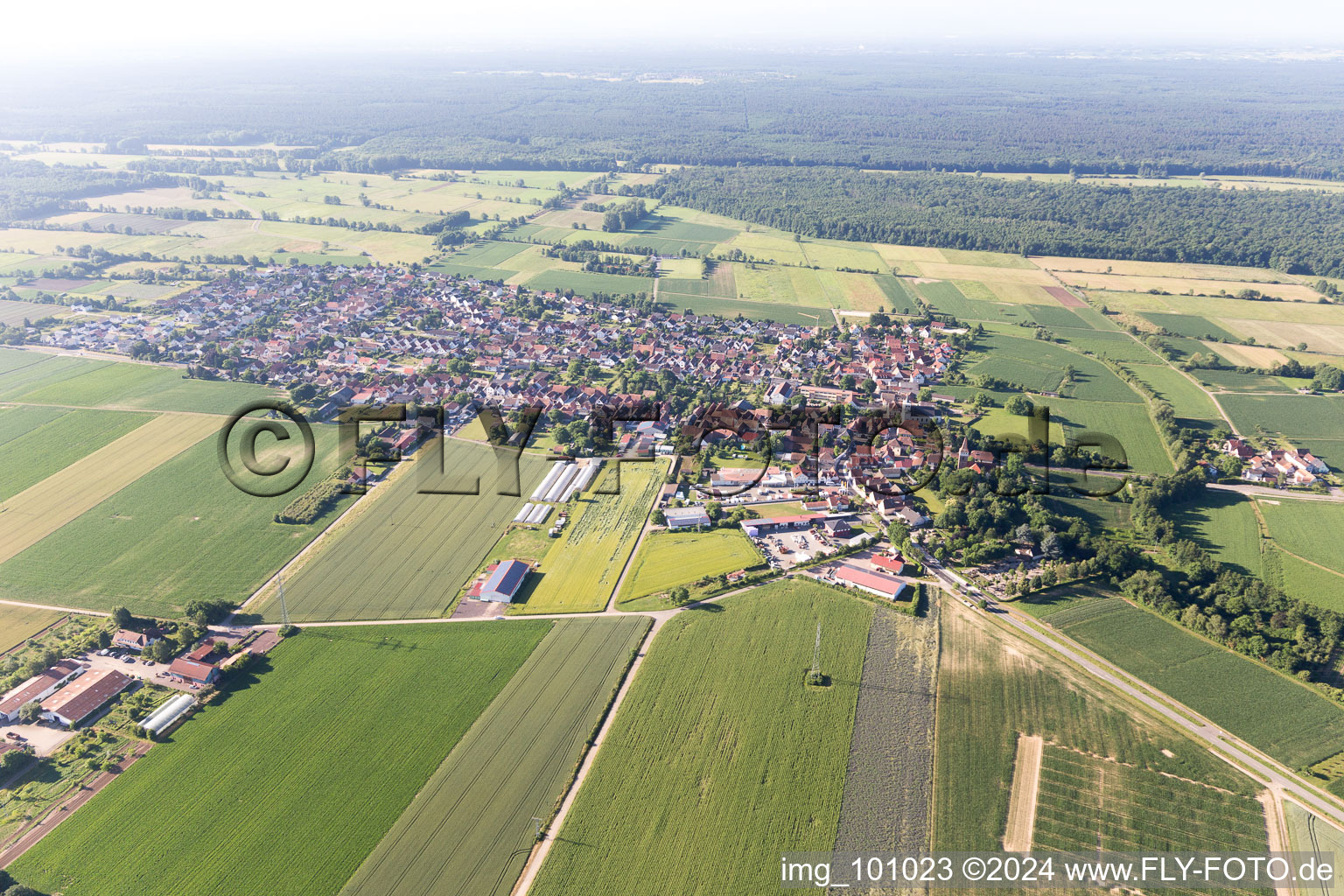 Vue oblique de Minfeld dans le département Rhénanie-Palatinat, Allemagne