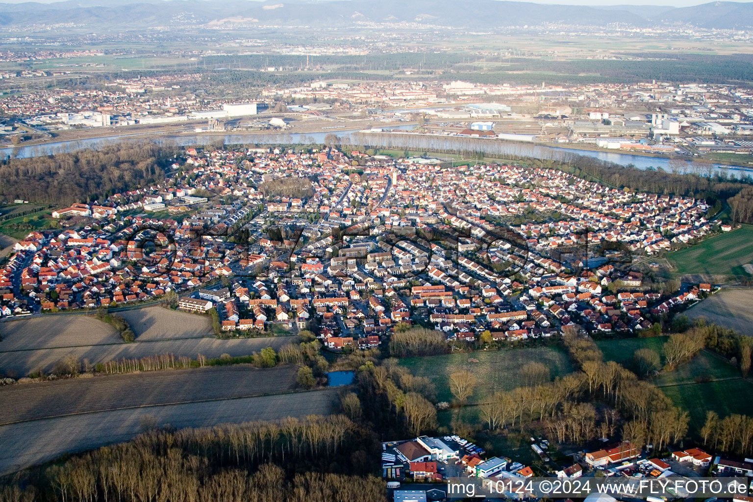 Vue aérienne de Vue des rues et des maisons des quartiers résidentiels à Altrip dans le département Rhénanie-Palatinat, Allemagne