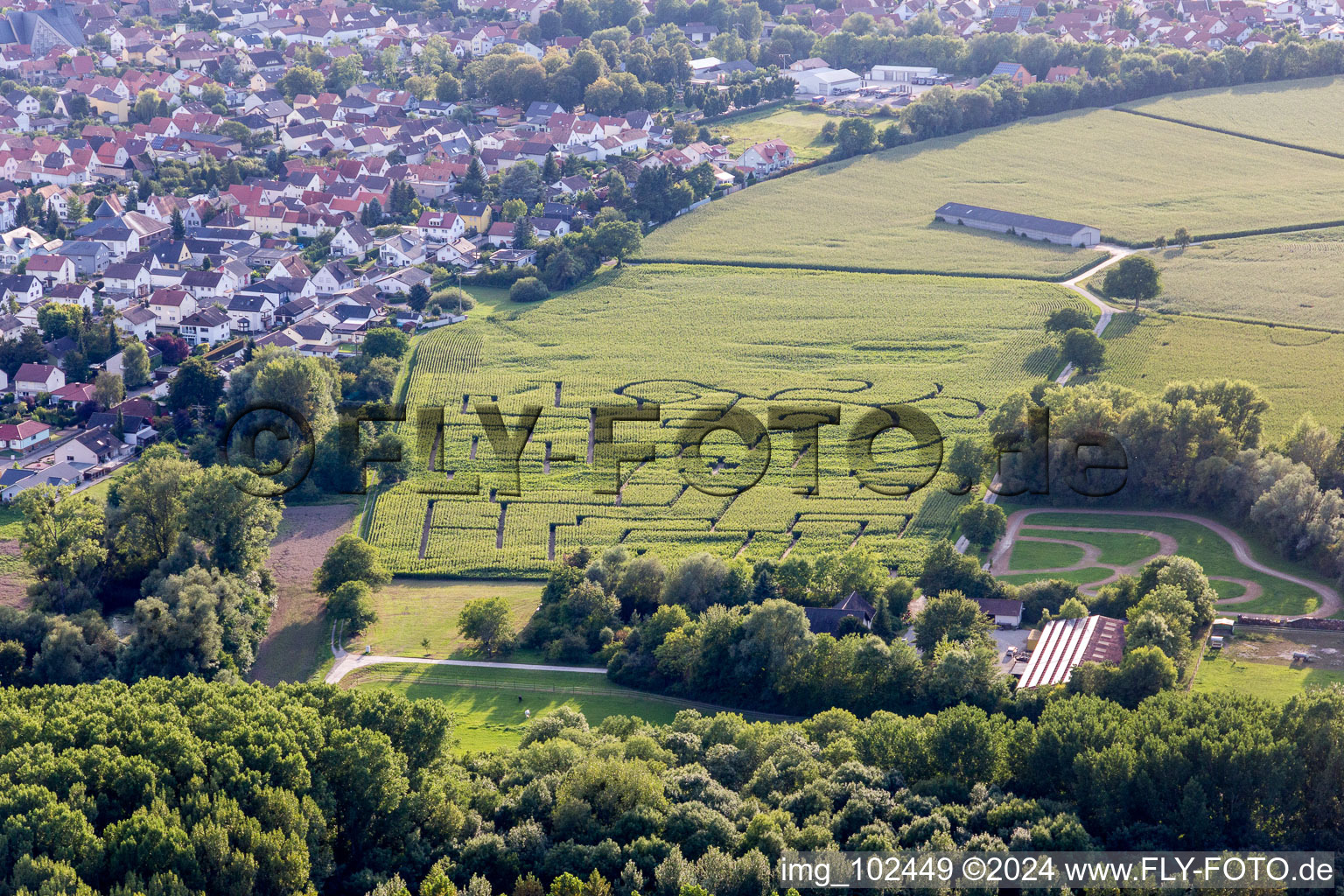 Vue d'oiseau de Leimersheim dans le département Rhénanie-Palatinat, Allemagne