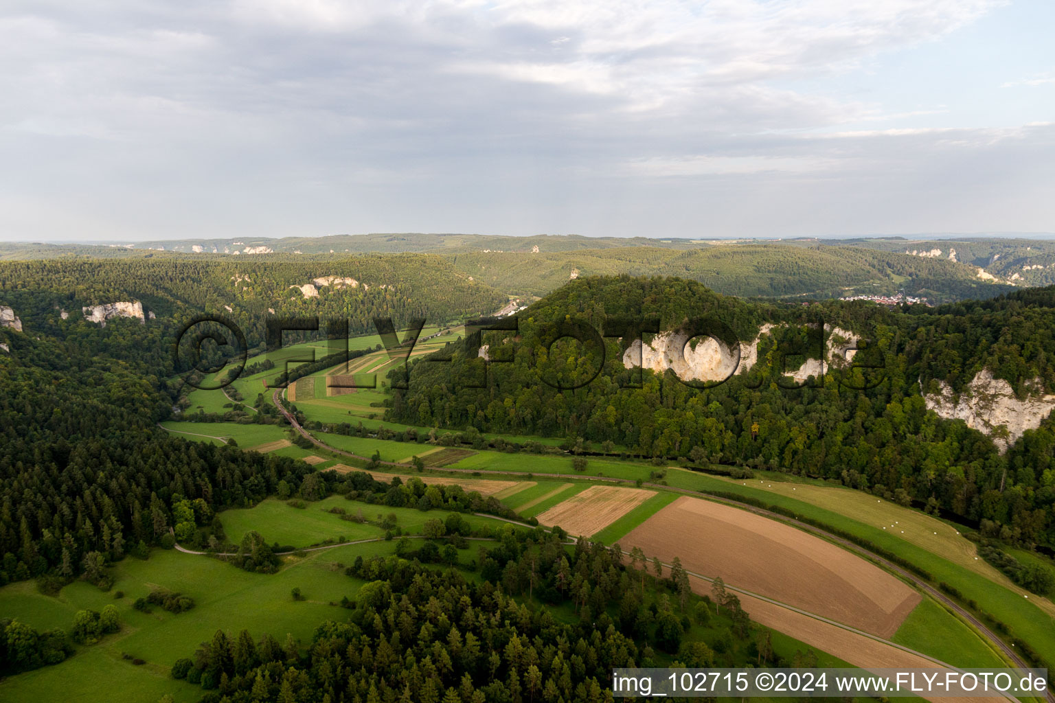 Photographie aérienne de Mühlheim an der Donau dans le département Bade-Wurtemberg, Allemagne