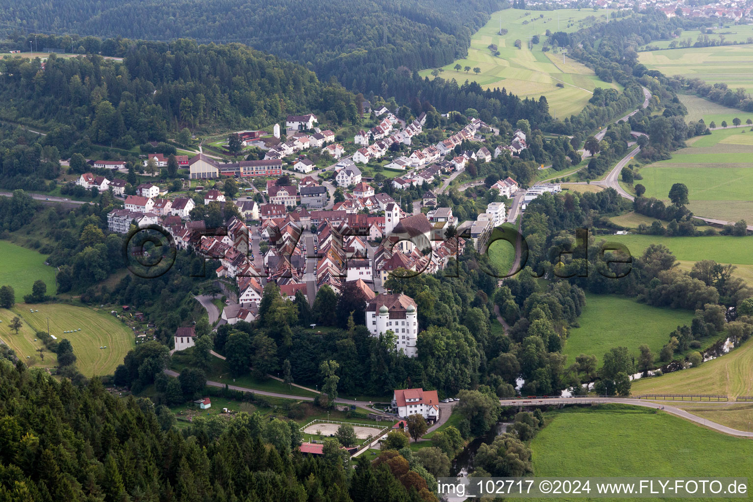 Mühlheim an der Donau dans le département Bade-Wurtemberg, Allemagne d'en haut