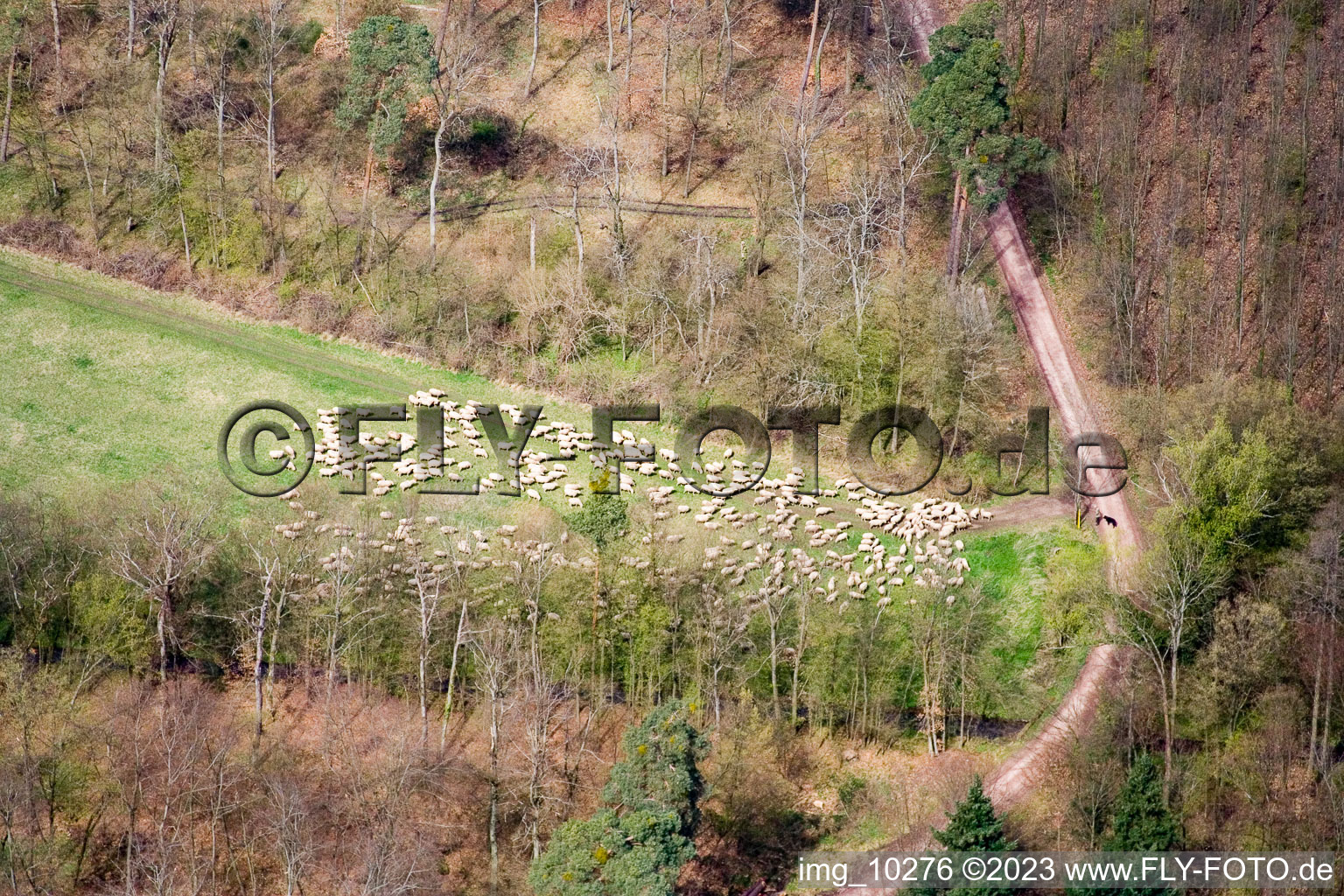 Image drone de Jockgrim dans le département Rhénanie-Palatinat, Allemagne