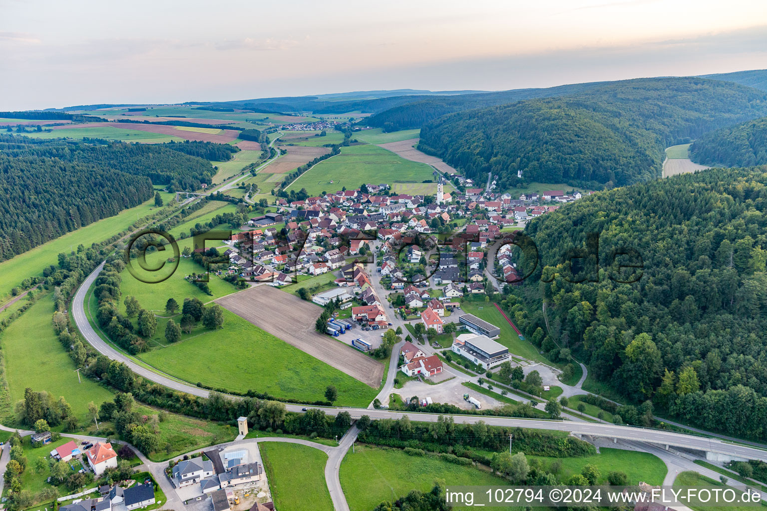 Photographie aérienne de Geisingen dans le département Bade-Wurtemberg, Allemagne