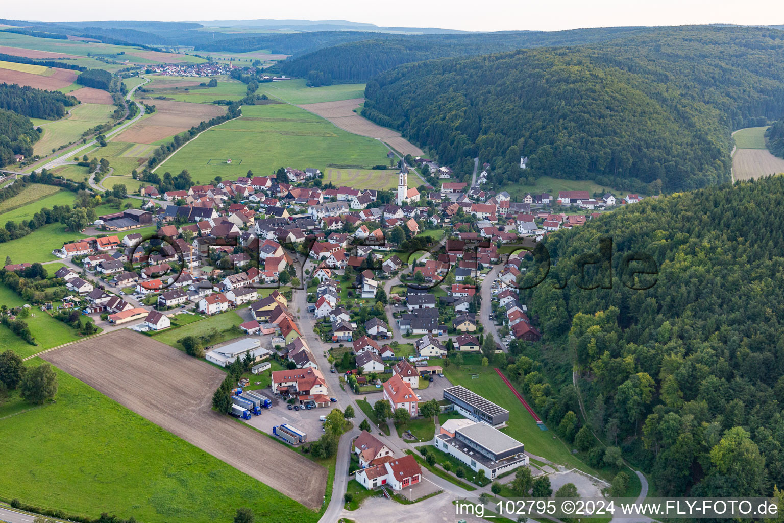 Vue oblique de Geisingen dans le département Bade-Wurtemberg, Allemagne