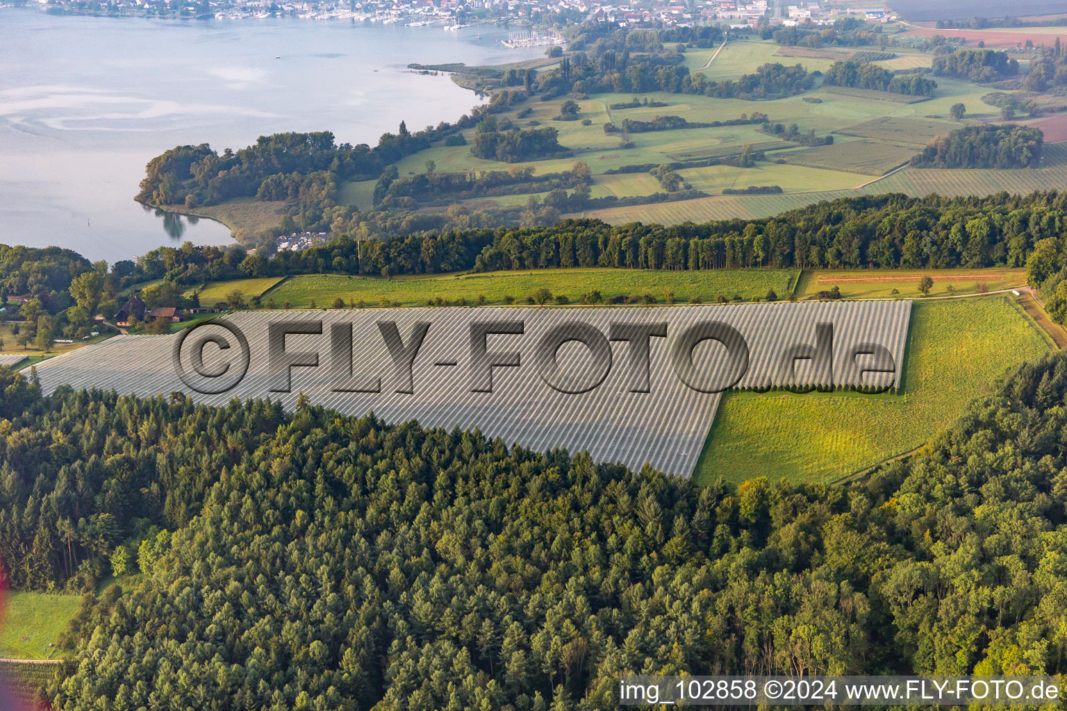 Image drone de Quartier Ludwigshafen in Bodman-Ludwigshafen dans le département Bade-Wurtemberg, Allemagne