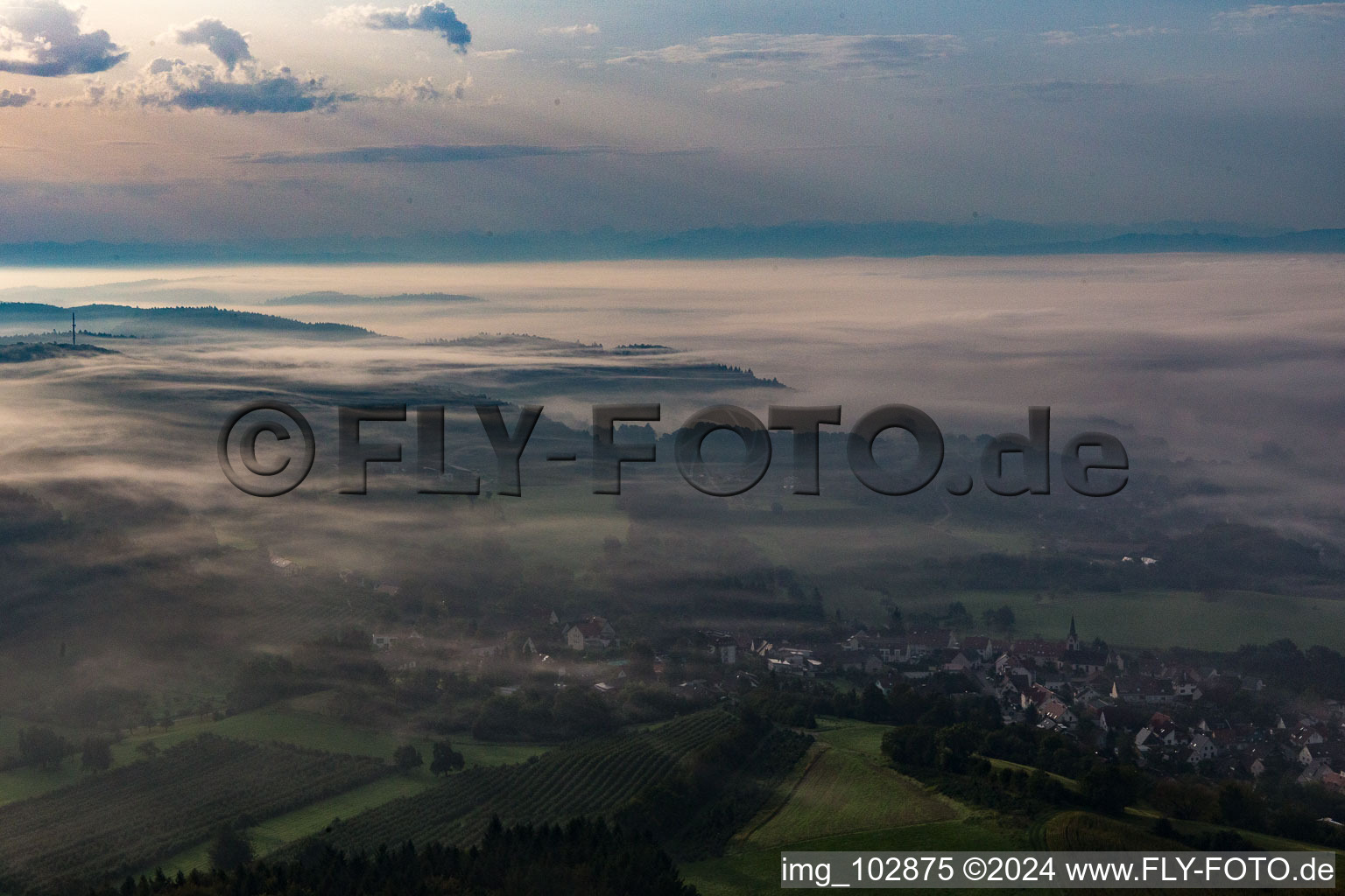 Vue aérienne de Brouillard sur le lac de Constance à le quartier Güttingen in Radolfzell am Bodensee dans le département Bade-Wurtemberg, Allemagne