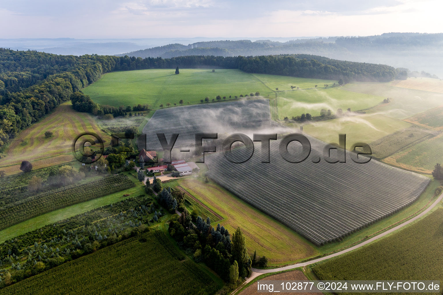 Vue aérienne de Vergers sous filets de protection à le quartier Güttingen in Radolfzell am Bodensee dans le département Bade-Wurtemberg, Allemagne