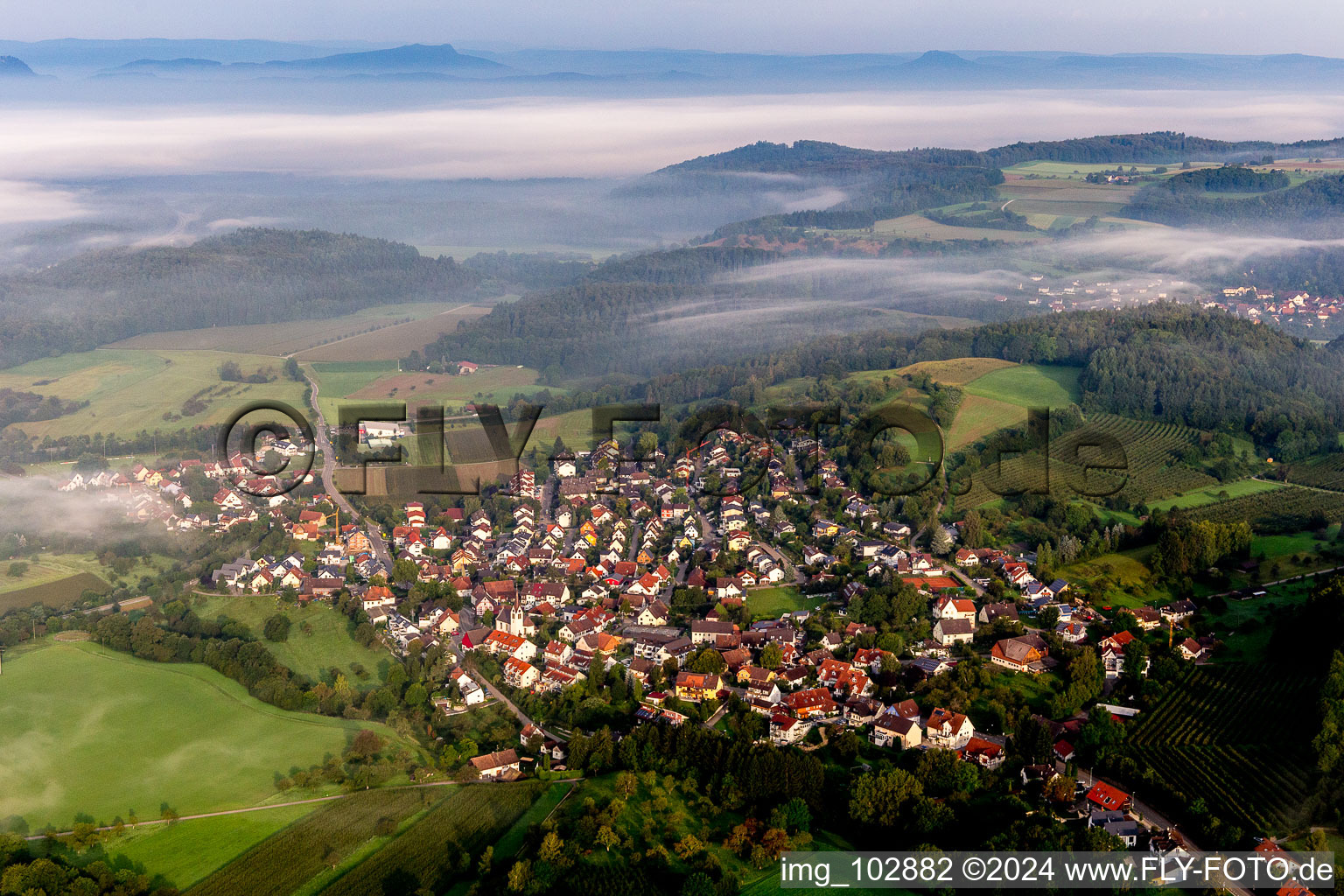 Vue aérienne de Champs au bord du lac de Constance, enveloppés de brouillard matinal, dans le quartier Möggingen à Radolfzell au bord du lac de Constance à Möggingen dans le département Bade-Wurtemberg, Allemagne