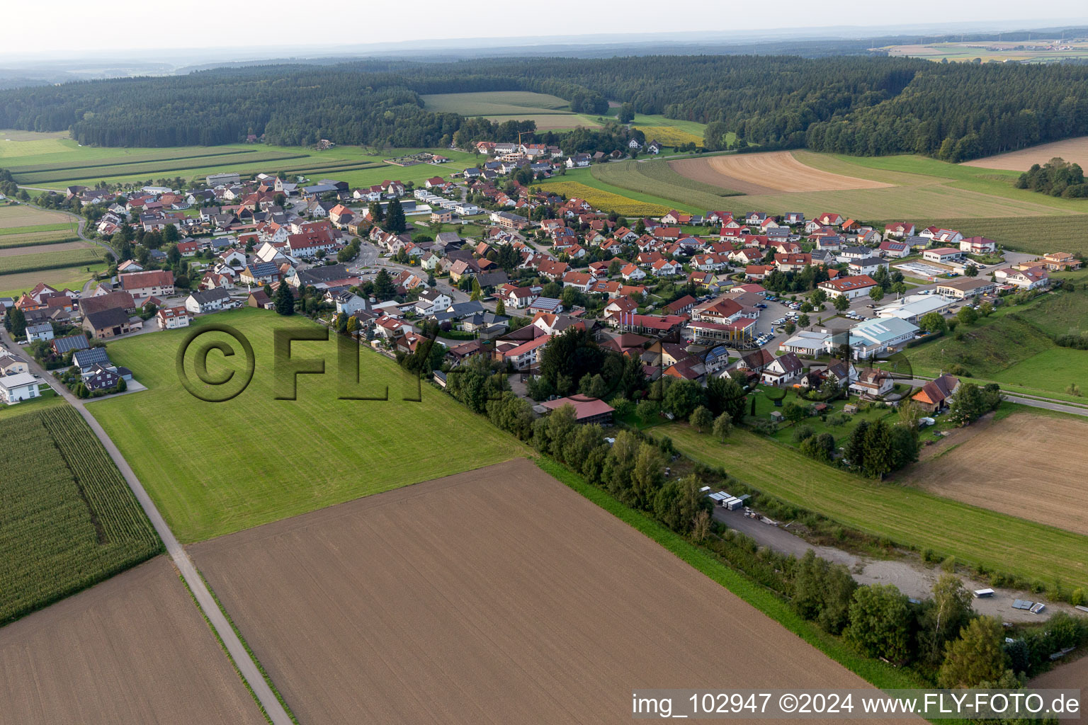 Photographie aérienne de Quartier Denkingen in Pfullendorf dans le département Bade-Wurtemberg, Allemagne