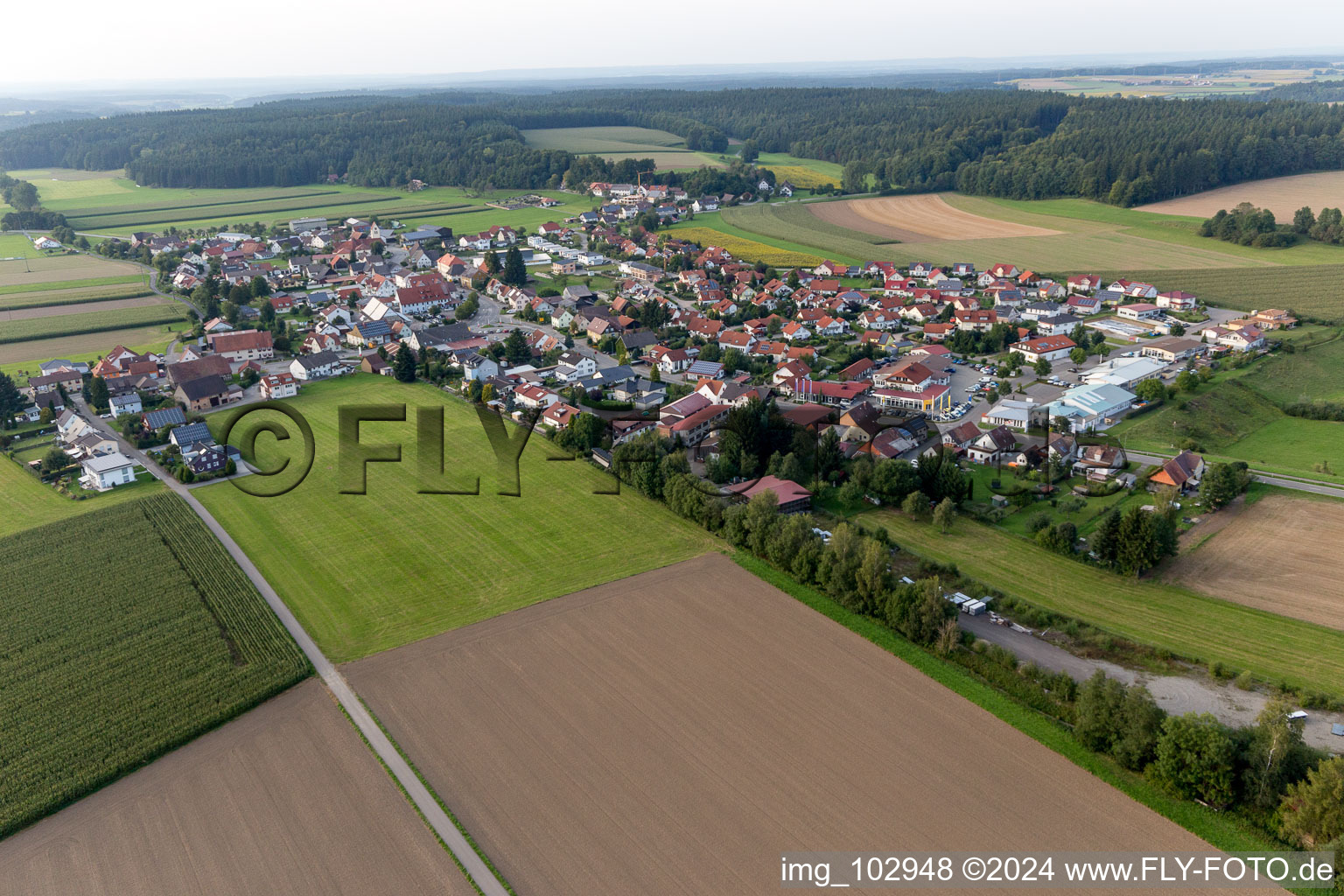 Vue oblique de Quartier Denkingen in Pfullendorf dans le département Bade-Wurtemberg, Allemagne