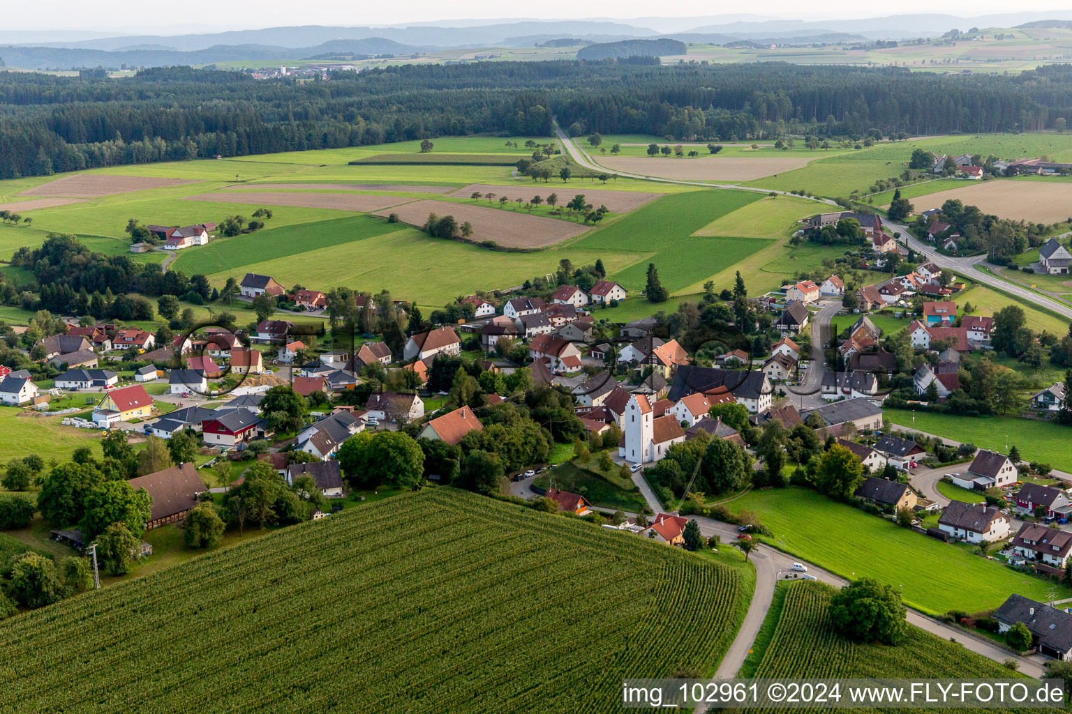 Vue aérienne de Quartier Sentenhart in Wald dans le département Bade-Wurtemberg, Allemagne