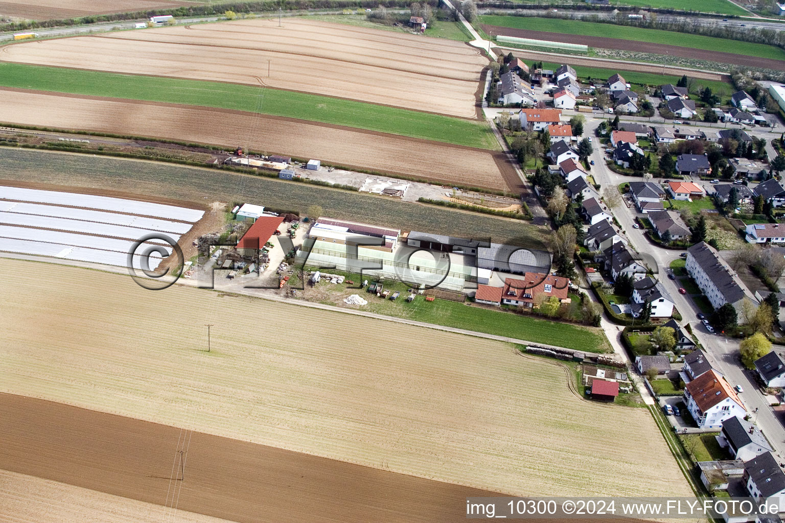 Kandel dans le département Rhénanie-Palatinat, Allemagne d'en haut