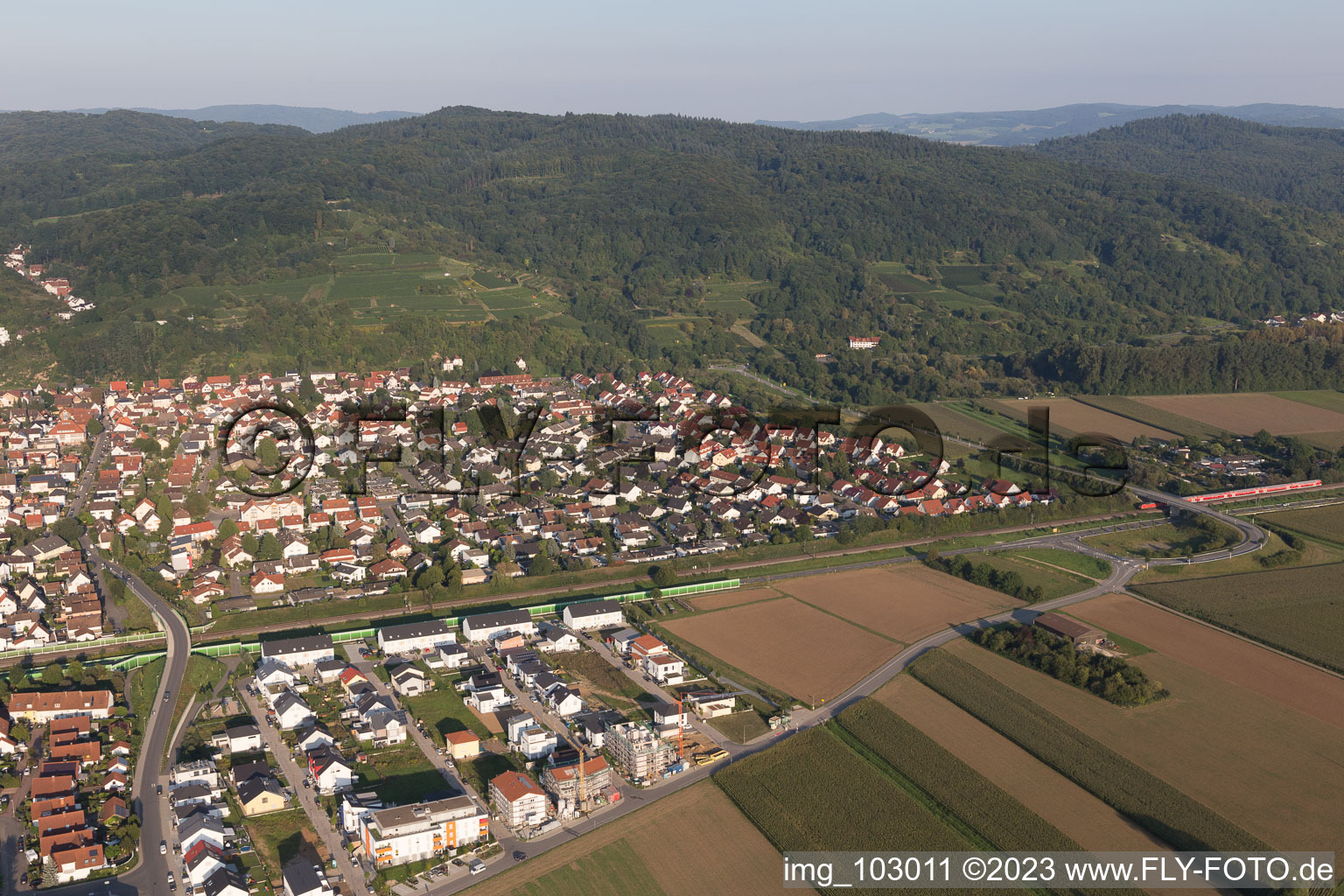 Laudenbach dans le département Bade-Wurtemberg, Allemagne d'un drone