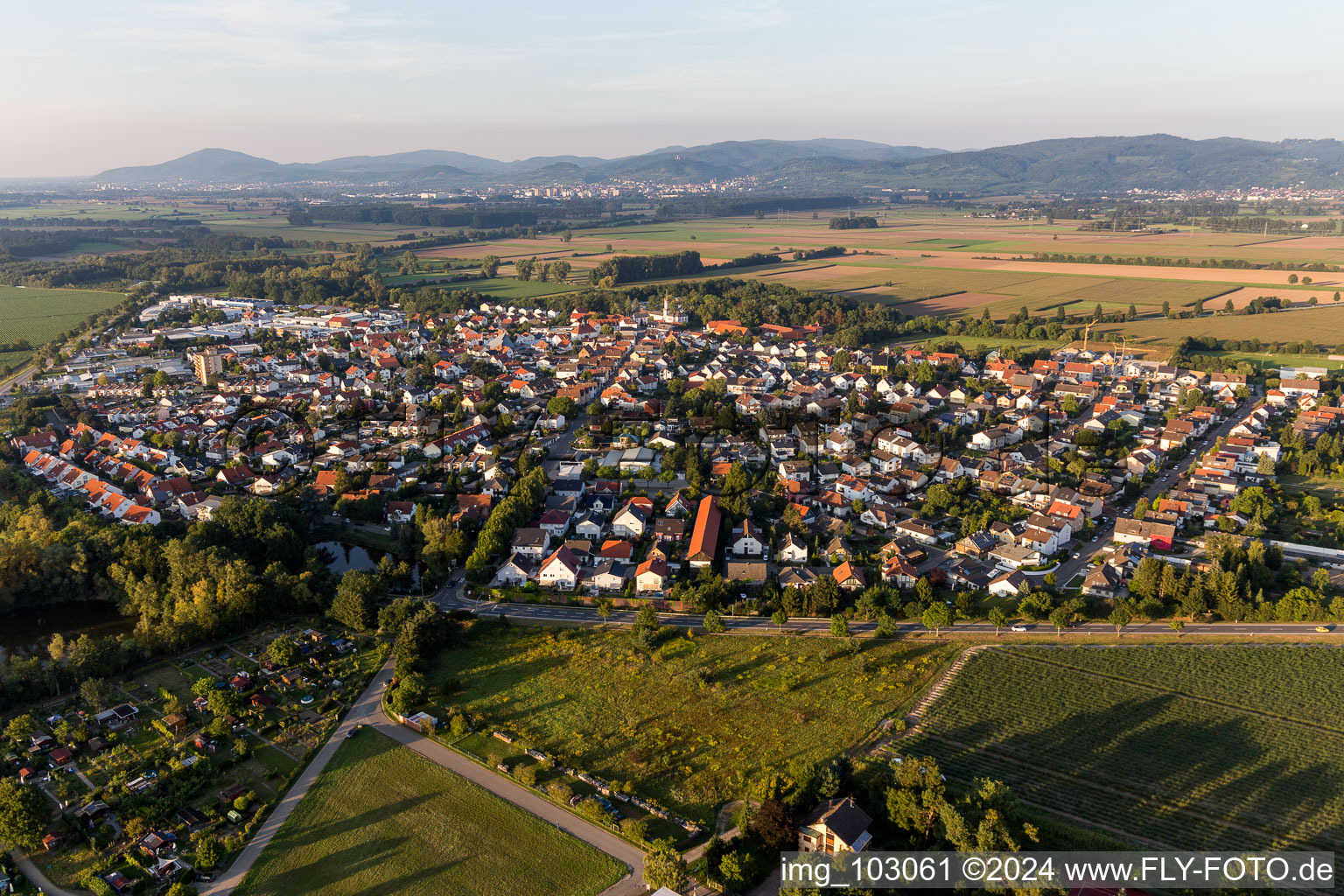 Vue aérienne de Du sud-ouest à le quartier Hüttenfeld in Lampertheim dans le département Hesse, Allemagne