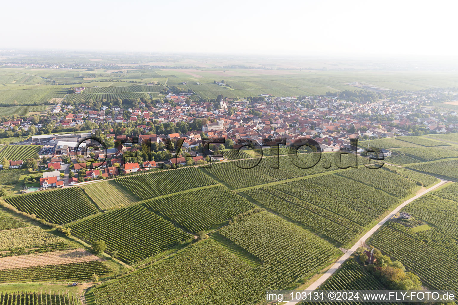 Vue aérienne de Bechtheim dans le département Rhénanie-Palatinat, Allemagne