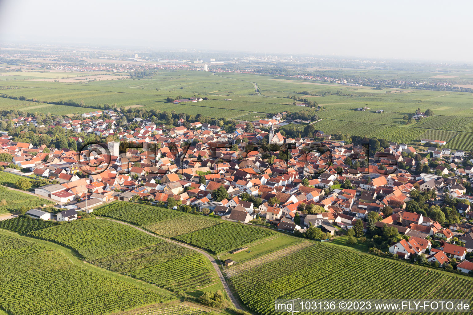Bechtheim dans le département Rhénanie-Palatinat, Allemagne vue d'en haut
