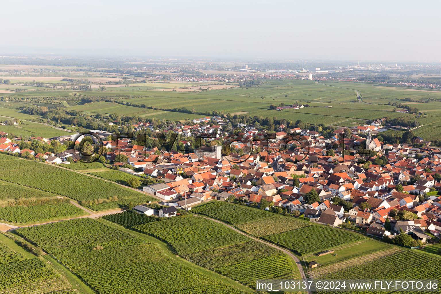 Bechtheim dans le département Rhénanie-Palatinat, Allemagne depuis l'avion